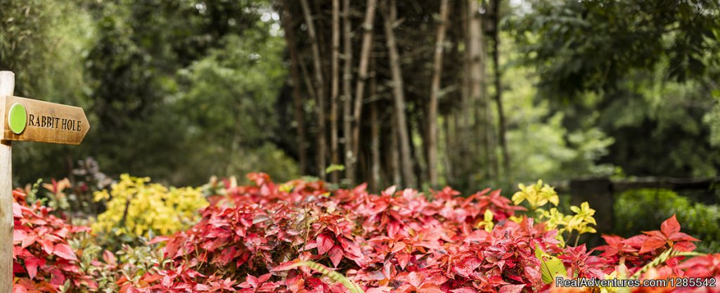 Front View | Amanvana Spa, Luxury Resort in Coorg | Coorg, India | Hotels & Resorts | Image #1/3 | 