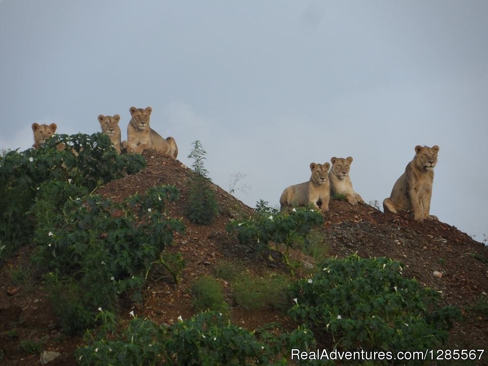 Karibu Tanzania Tours | Image #5/25 | 