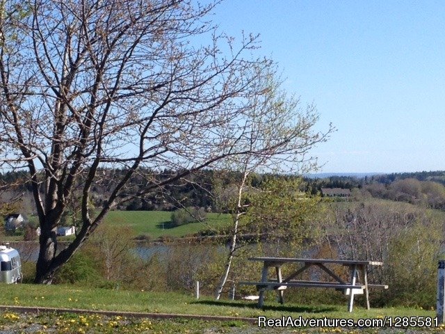 Upper level of campground, facing Back Harbour | Lunenburg Board of Trade Campground | Image #3/4 | 