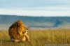 Foot Slopes Tours & Safaris | Arusha, Tanzania