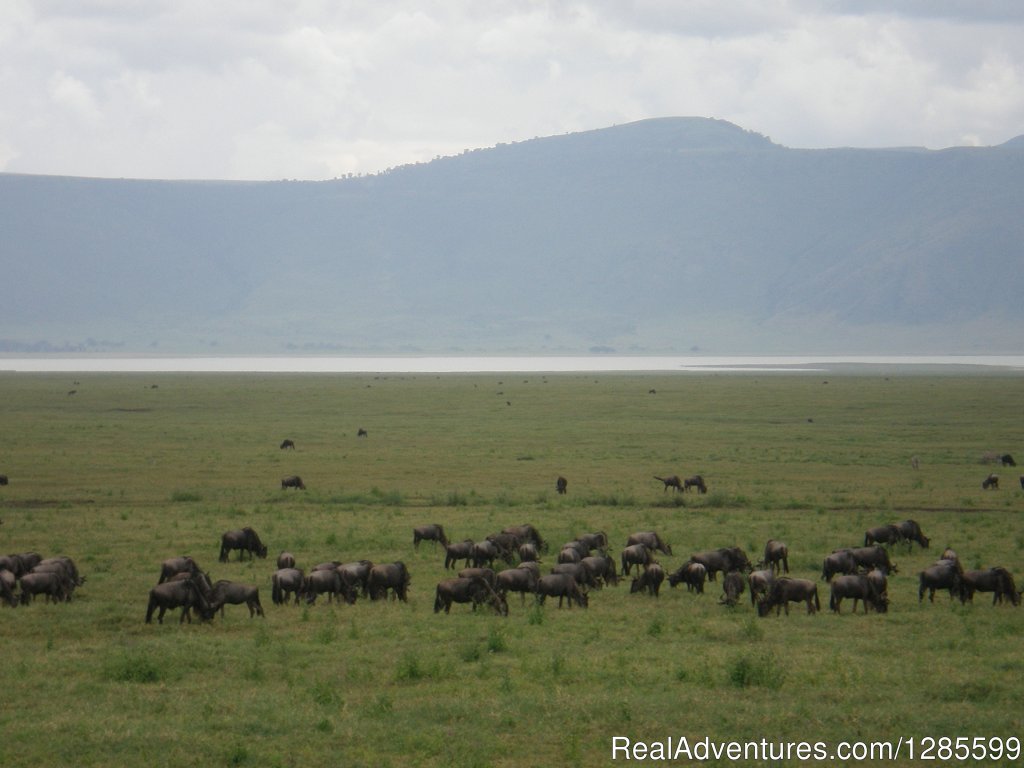 Foot Slopes Tours & Safaris | Image #5/14 | 