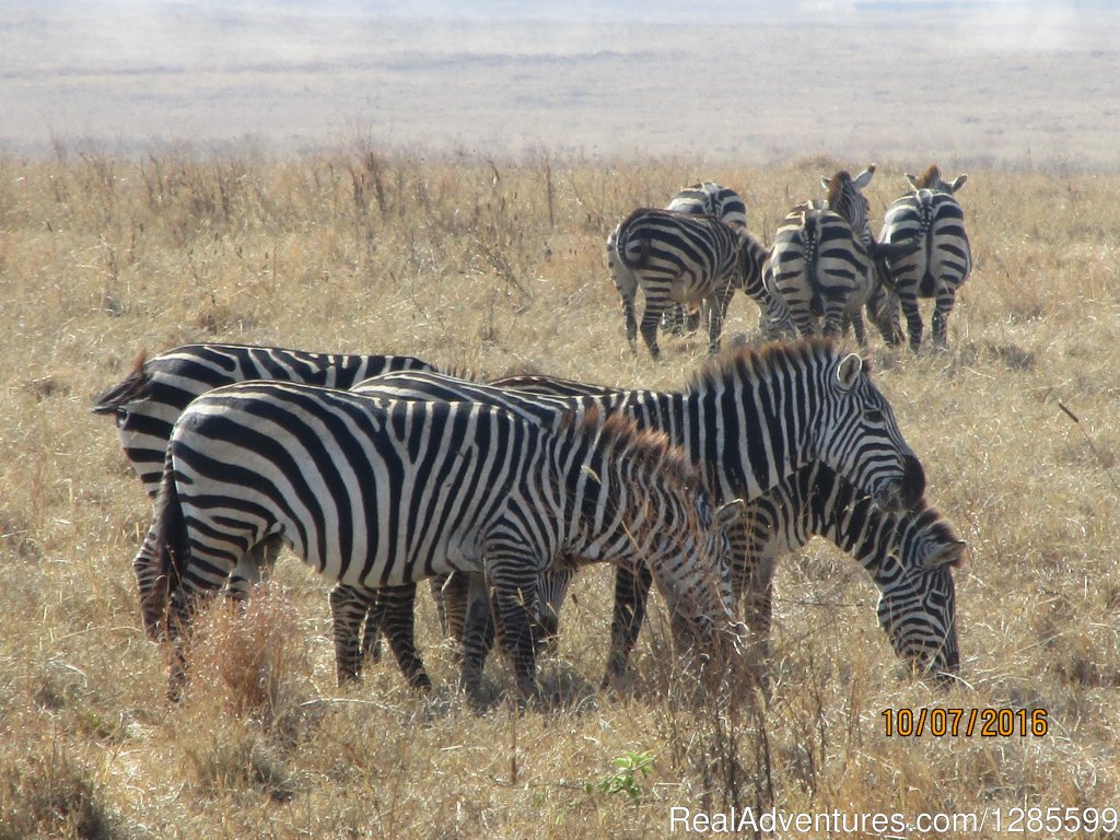 Foot Slopes Tours & Safaris | Image #6/14 | 