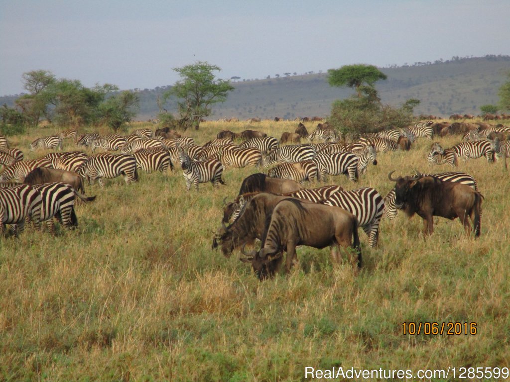 Foot Slopes Tours & Safaris | Image #10/14 | 