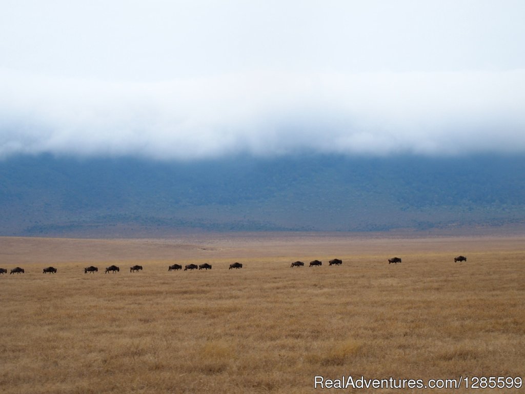 Foot Slopes Tours & Safaris | Image #13/14 | 