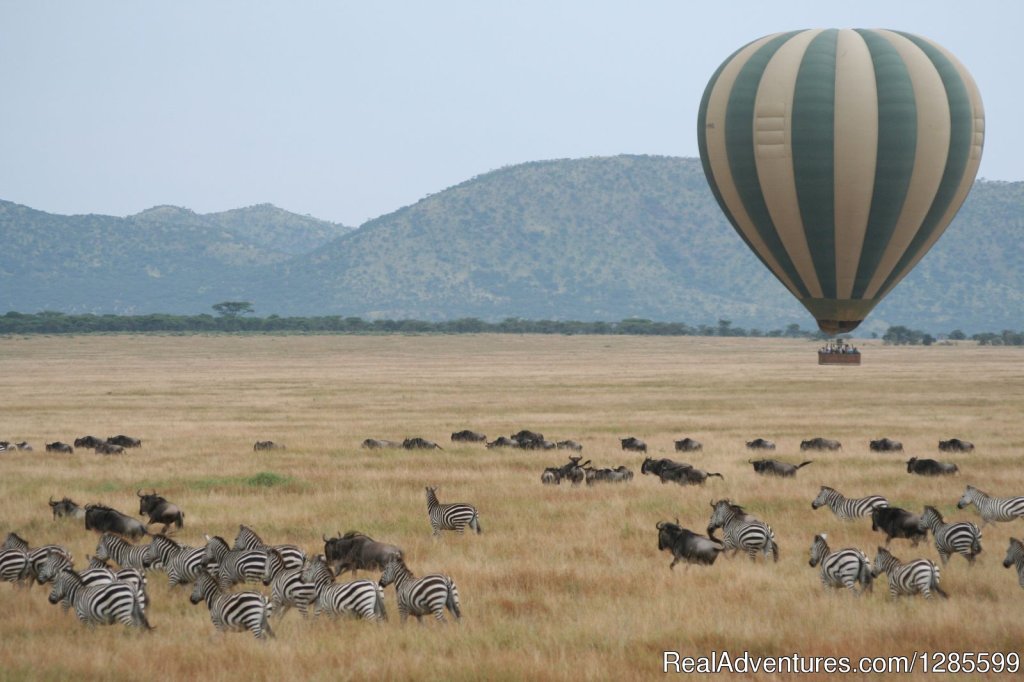 Foot Slopes Tours & Safaris | Image #14/14 | 