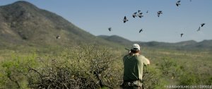 Best Wingshooting In Argentina