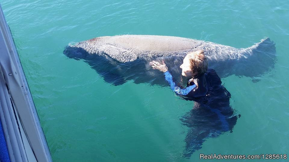 Aquavision Manatee Boat Tours | Image #2/2 | 