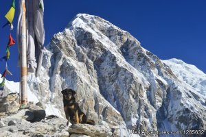 Trekking in Nepal with Friends Adventure Team