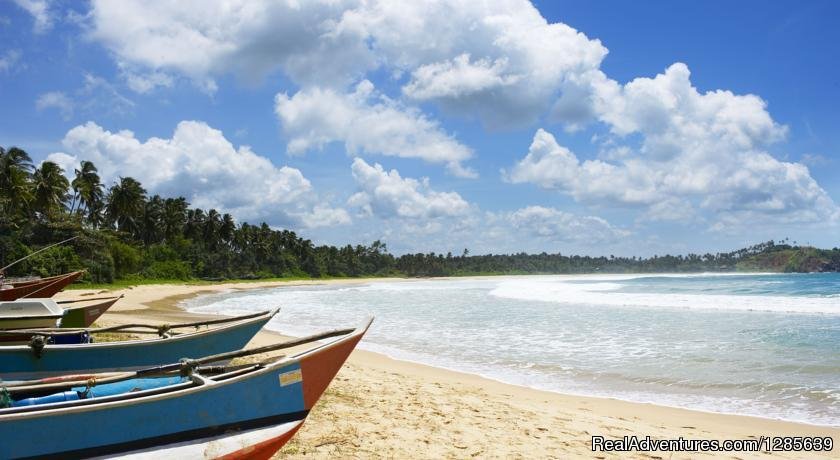 Talallaretreat | Adam's Peak, Sri Lanka | Bed & Breakfasts | Image #1/14 | 