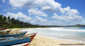 Talallaretreat | Adam's Peak, Sri Lanka | Bed & Breakfasts