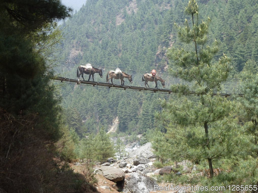 Everest Base Camp Trekking | Image #7/9 | 