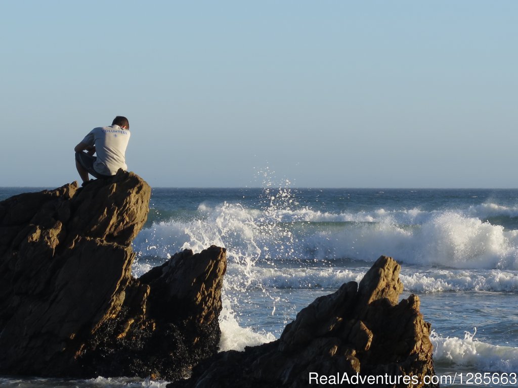 White shark conservation and research volunteer | Hermanus, South Africa | Volunteer Vacations | Image #1/6 | 