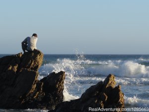 White shark conservation and research volunteer | Hermanus, South Africa | Volunteer Vacations