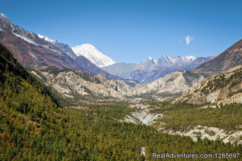 Annapurna base camp(ABC) trek | Kathmandu Nepal, Nepal | Hiking & Trekking | Image #1/5 | 