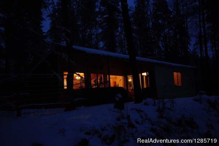 Northern light tour by dogsled in Swedish Lapland. | Image #2/5 | 