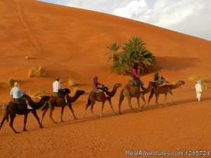 Superb Morocco Tours