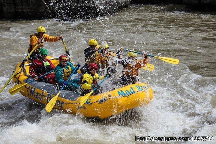 Mad River Boat Trips | Image #4/4 | 