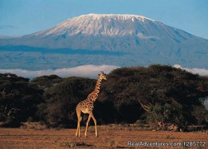 Aabikombi Tanzania Safaris | Arush, Tanzania | Sight-Seeing Tours