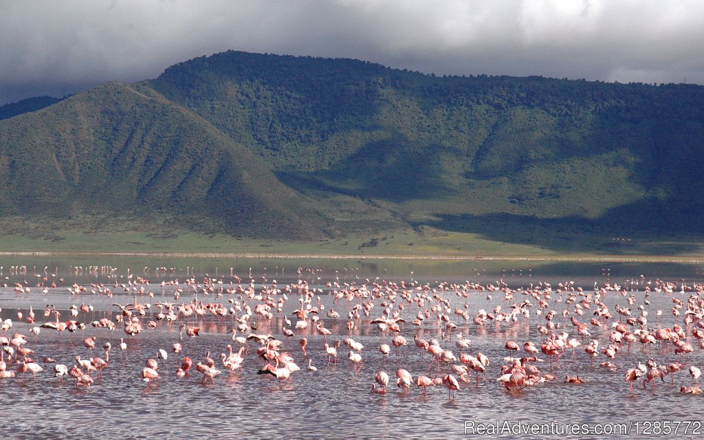 Aabikombi Tanzania Safaris | Image #7/13 | 