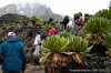 Trekking And Safaris In Africa | Central Highlands, Kenya