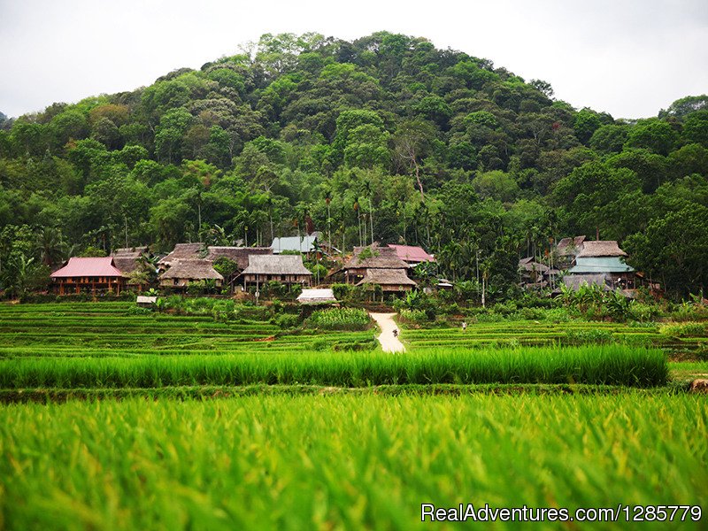 Puluong-Thanhhoa-AsiaPacificTravel-Ecotour2 | 3-Day Trekking in Pu Luong with Night at Pu Luong | Image #2/4 | 