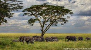 Comeandseeadventures | Arusha, Tanzania | Tourism Center