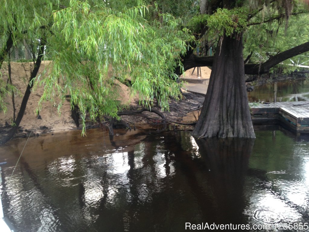 Beach, Boat Ramp, and small foating dock | Luxury Suwannee Riverfront 3 Bed/3 Bath Home | Image #4/6 | 