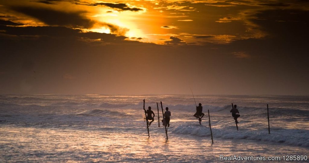 Visit Sri Lanka | Image #4/10 | 