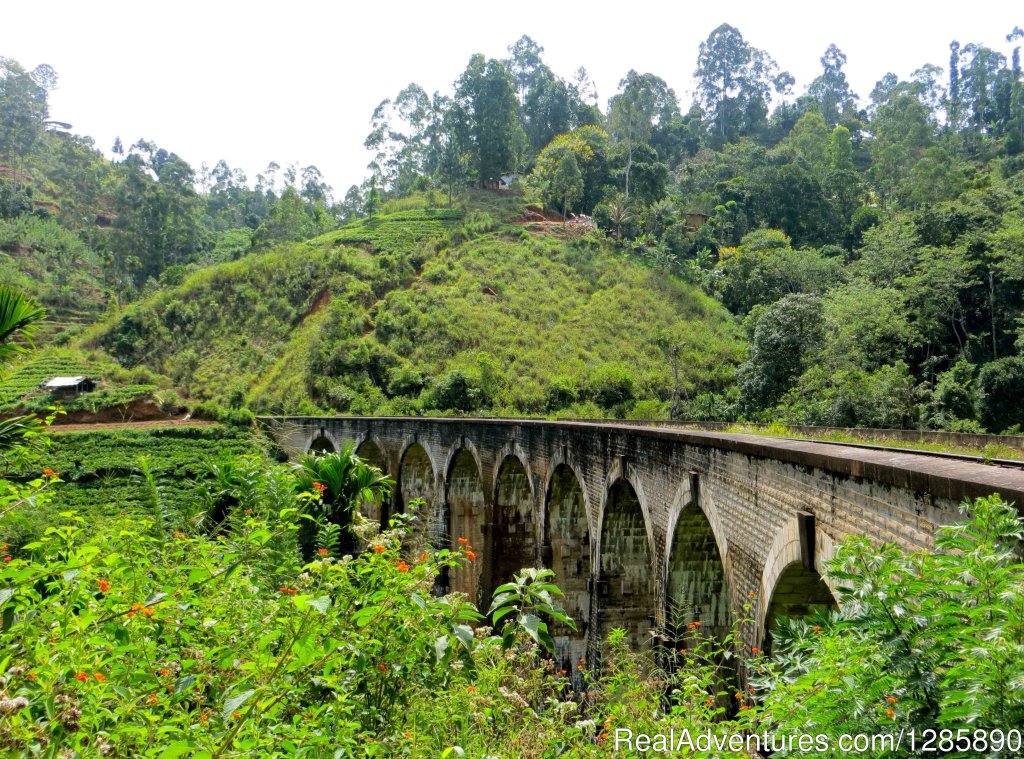 Visit Sri Lanka | Image #9/10 | 