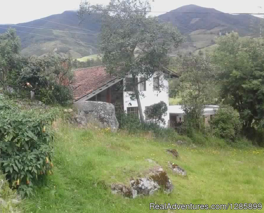 TheLostLeprechaun EcoHostel, Surroundings | South Colombia adventure | Image #9/13 | 