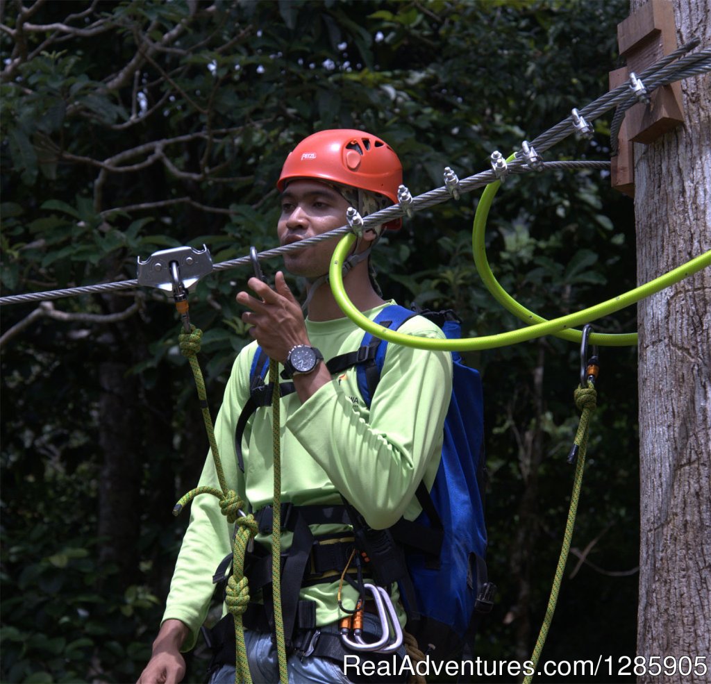 Umgawa - Zipline Eco Canopy Tour | Image #3/5 | 