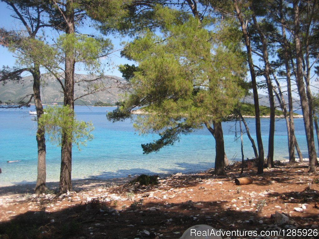 Apartment Korcula old town  Croatia | Image #14/16 | 