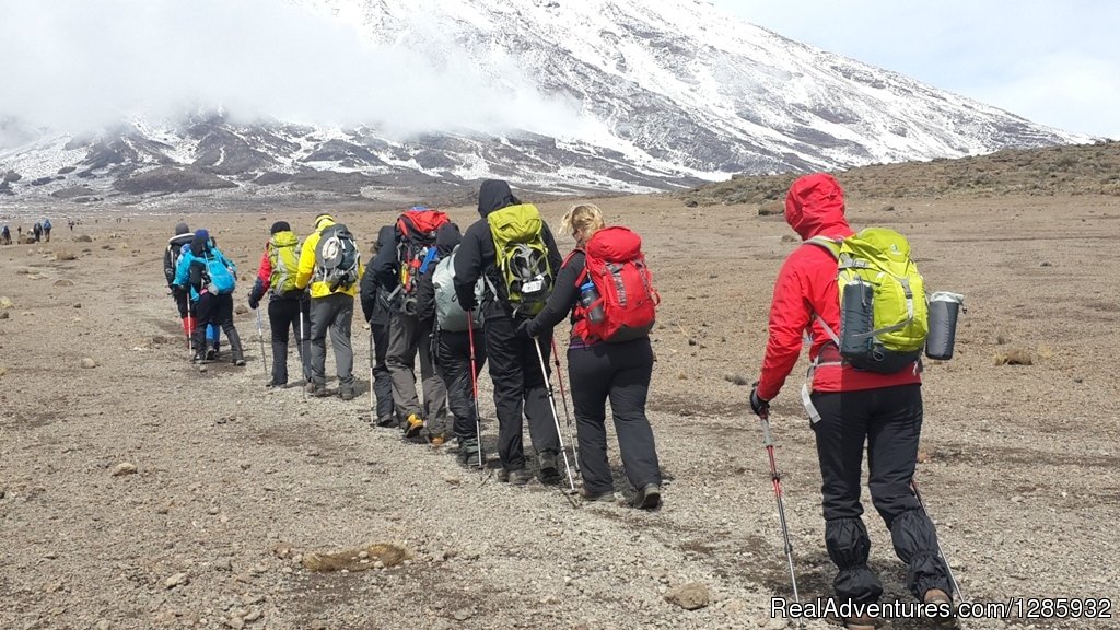 Climb Slow Slow | Kilimanjaro Climb From $1890 By Local Operator | Image #2/10 | 