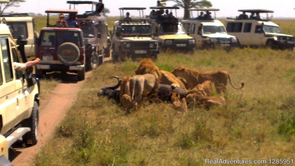 a fabulous weekend at Maasai mara- Nakuru-Samburu | Image #3/3 | 