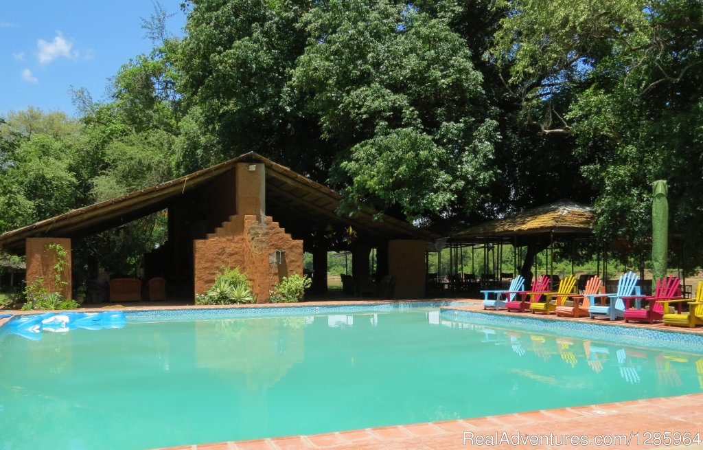 Croc Valley Camp Pool and Bar | Affordable Safari Holidays at Croc Valley Camp | Image #7/22 | 