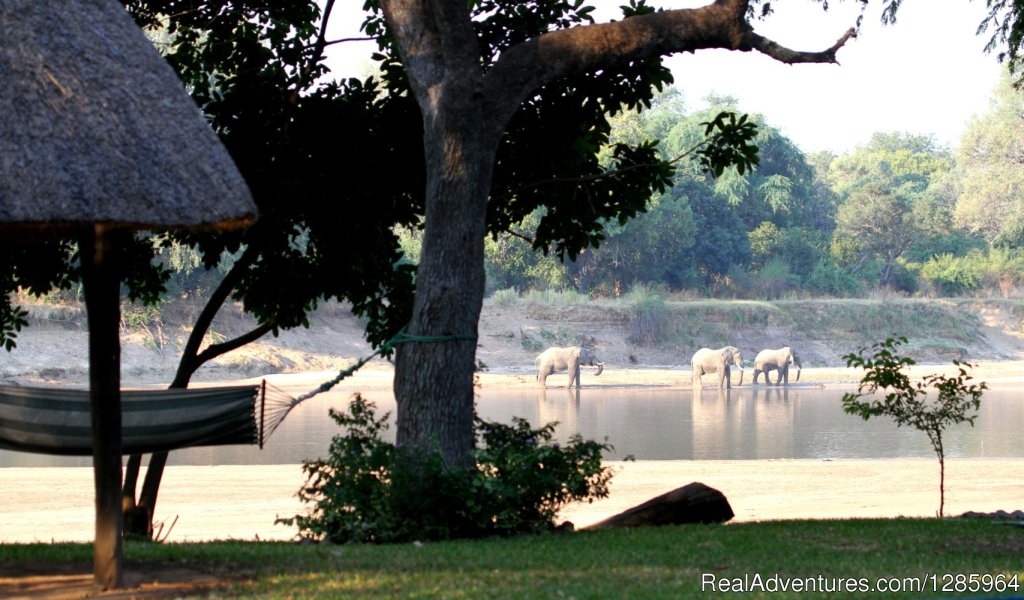 Camping Area | Affordable Safari Holidays at Croc Valley Camp | Image #4/22 | 