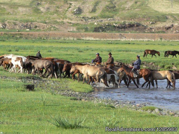 Horseback Riding Adventure | Image #8/23 | 