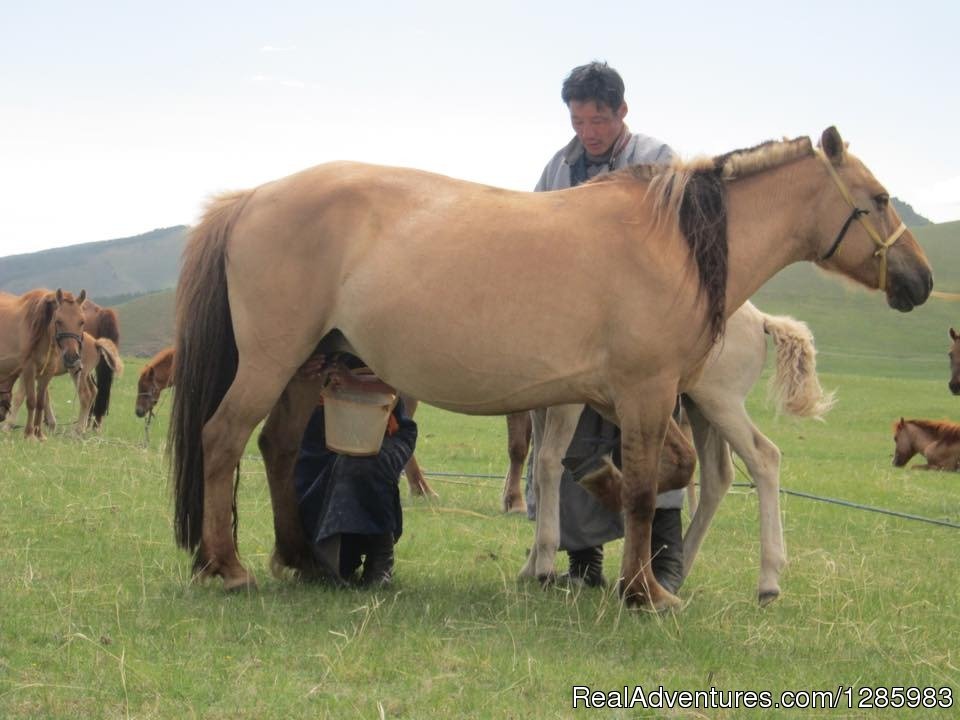 Horseback Riding Adventure | Image #21/23 | 