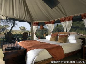 Siku Njema Tours and Safaris | Mombasa, Kenya | Wildlife & Safari Tours