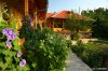 Pelican Birding Lodge/ Accommodation & Wildlife | Vetren, Bulgaria