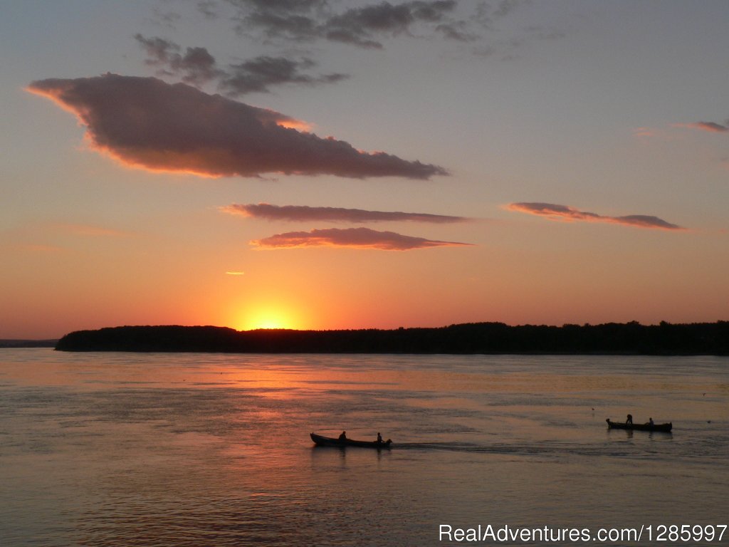 Danube River | Pelican Birding Lodge/ Accommodation & Wildlife | Image #3/11 | 