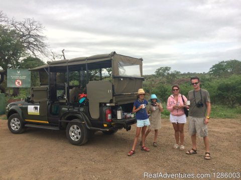 Large Male Lions Of Kruger Park Seen On Safari