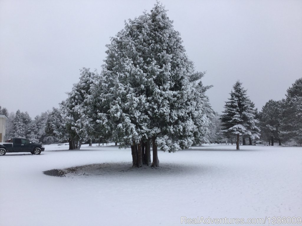 Winter wonderland | Cedars Motel | Image #23/25 | 