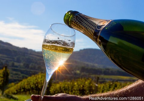 Cava tasting in the Penedes region of Catalonia