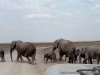 Wilderbeest Migration Safaris | Nairobi, Kenya