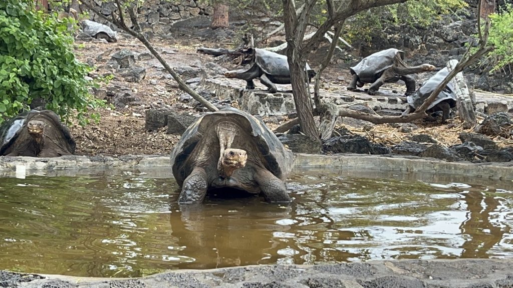 Charles Darwin Station | 6 Day Galapagos Amazing | Image #2/6 | 