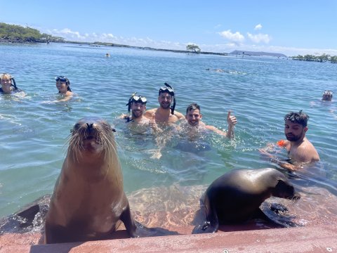 Snorkeling