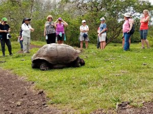 6 Day Galapagos Amazing