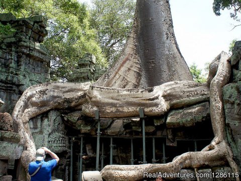 Ta Prohm Temple 01