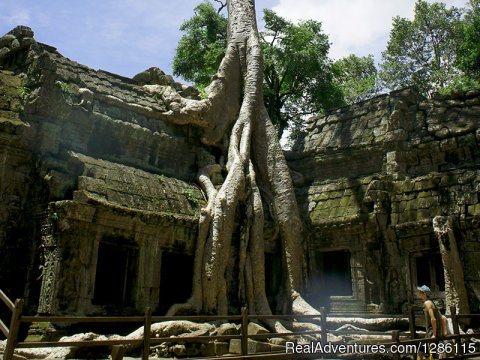 Ta Prohm Temple 03